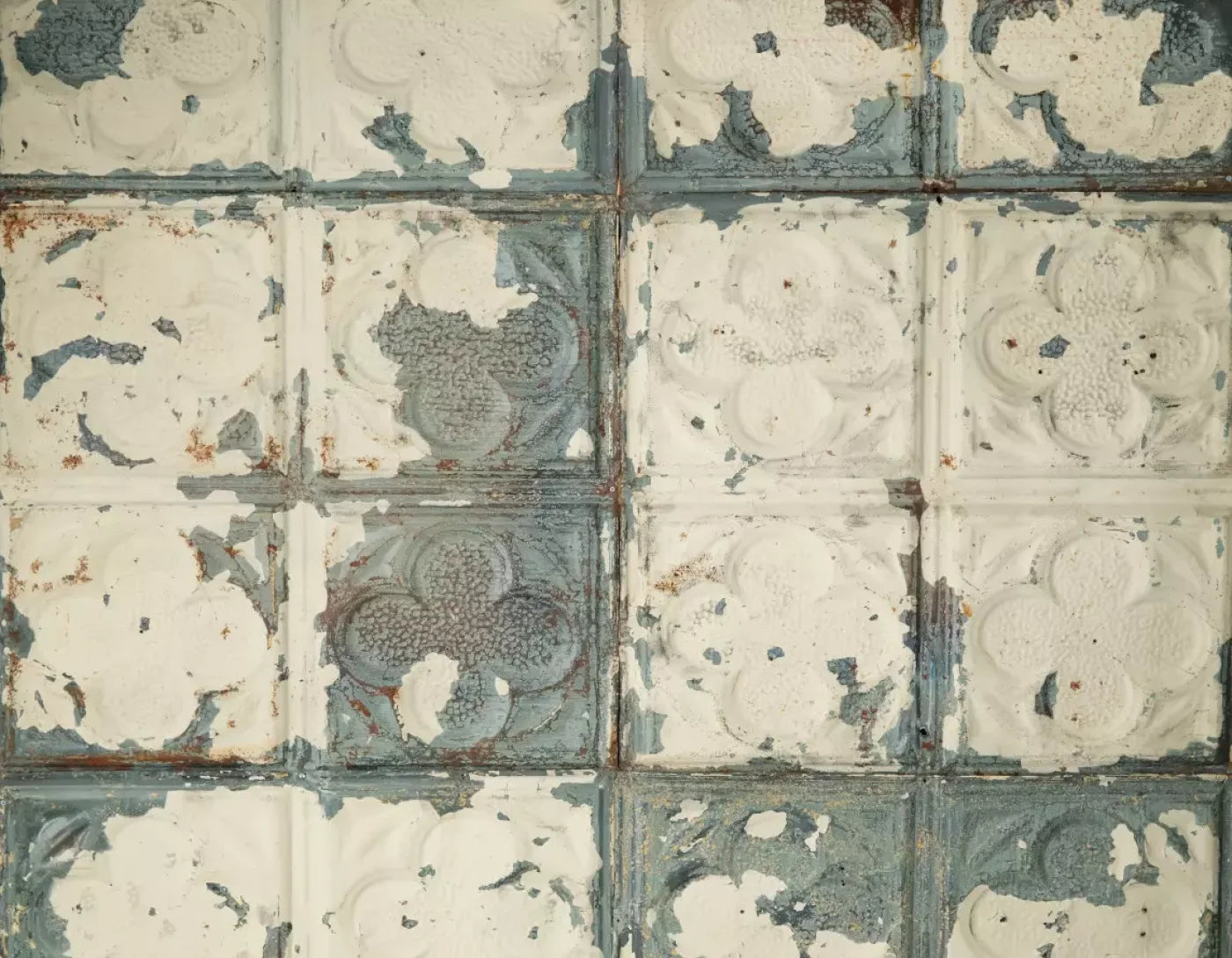 Rin Tin 8X6 Fleece ( 96 X 72 Inch ) Backdrop