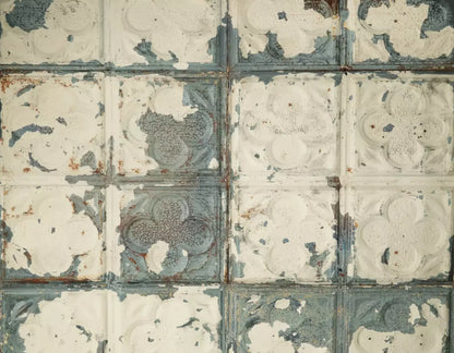 Rin Tin 8X6 Fleece ( 96 X 72 Inch ) Backdrop