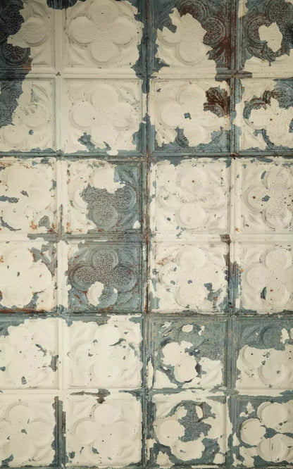 Rin Tin 9X14 Ultracloth ( 108 X 168 Inch ) Backdrop