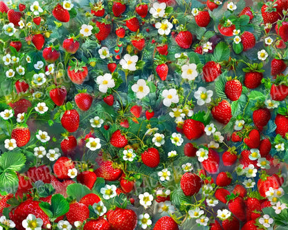 Ripe Strawberry Field 10’x8’ Fleece (120 x 96 inch) Backdrop