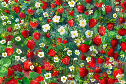 Ripe Strawberry Field 12’x8’ UltraCloth (144 x 96 inch) Backdrop