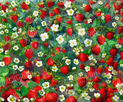 Ripe Strawberry Field 5’x4’2 Fleece (60 x 50 inch) Backdrop
