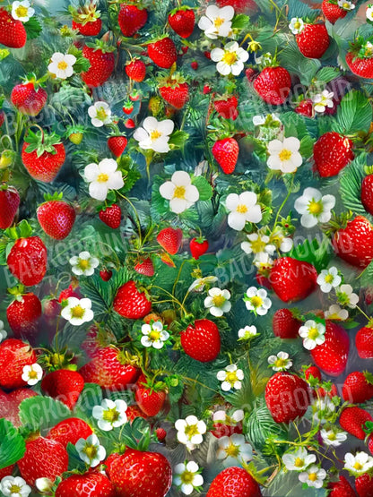 Ripe Strawberry Field 5’x6’8 Fleece (60 x 80 inch) Backdrop