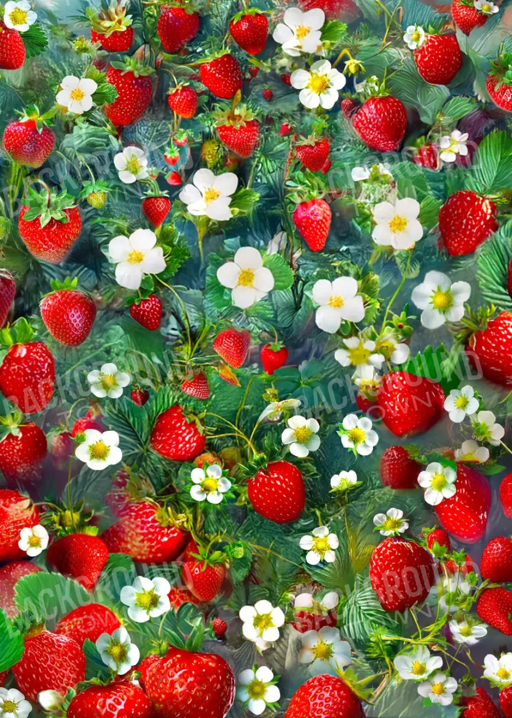 Ripe Strawberry Field 5’x7’ UltraCloth (60 x 84 inch) Backdrop