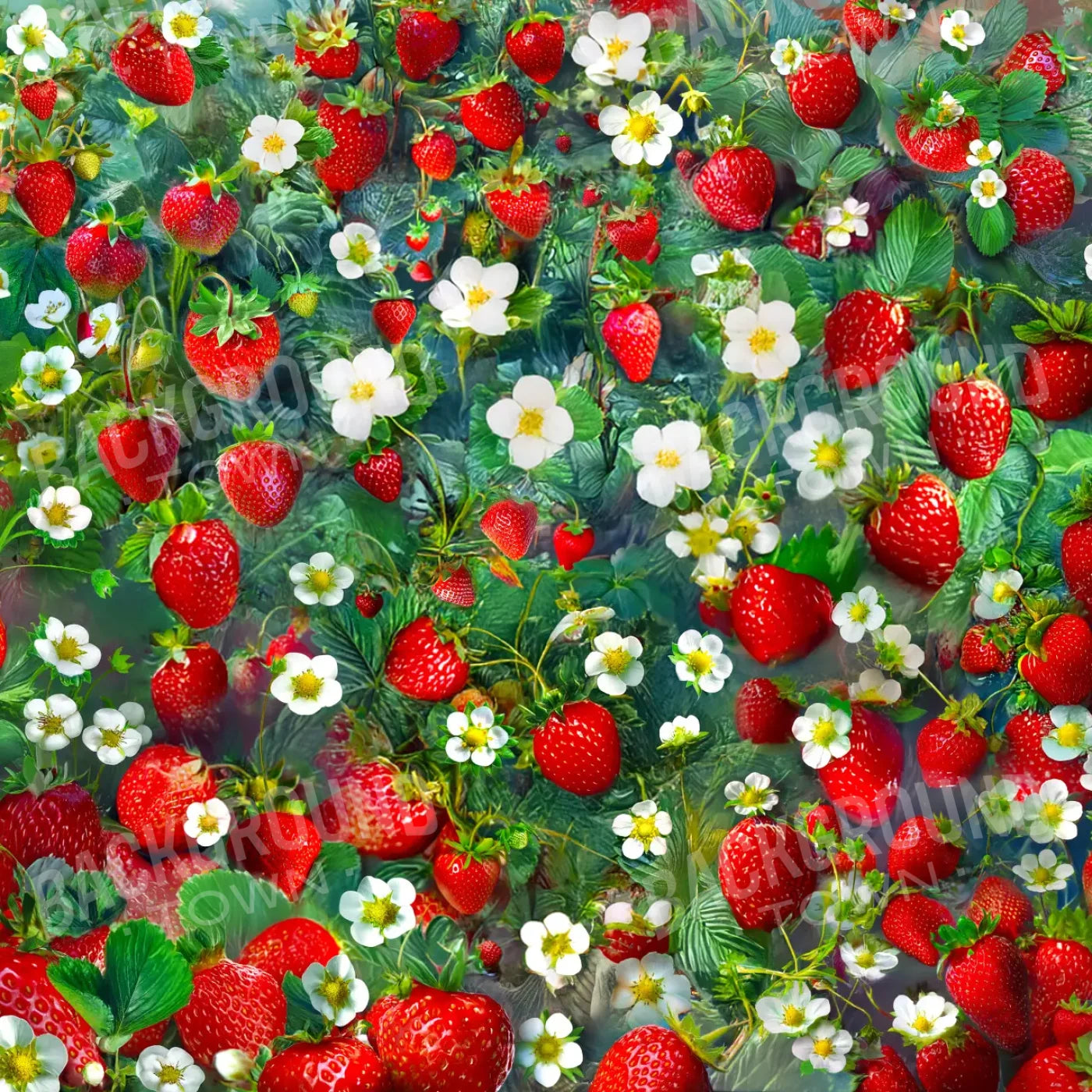 Ripe Strawberry Field 8’x8’ Fleece (96 x 96 inch) Backdrop
