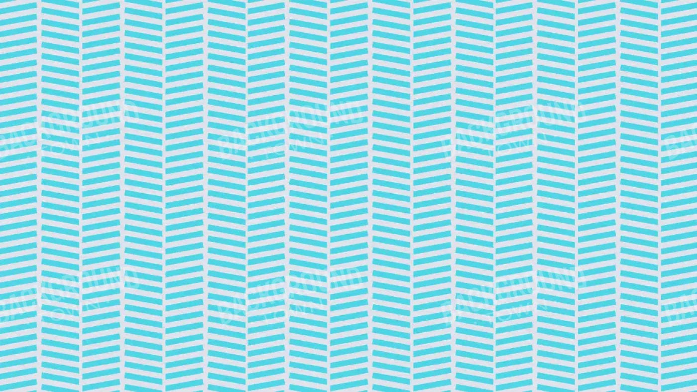 Roarke 14X8 Ultracloth ( 168 X 96 Inch ) Backdrop