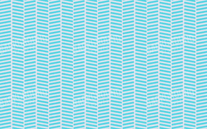 Roarke 14X9 Ultracloth ( 168 X 108 Inch ) Backdrop