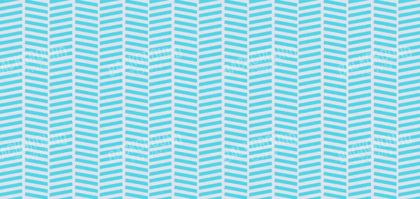 Roarke 16X8 Ultracloth ( 192 X 96 Inch ) Backdrop