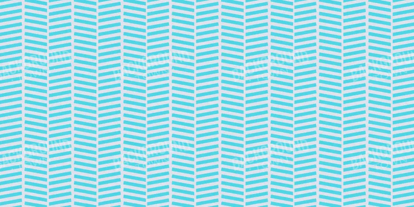 Roarke 20X10 Ultracloth ( 240 X 120 Inch ) Backdrop