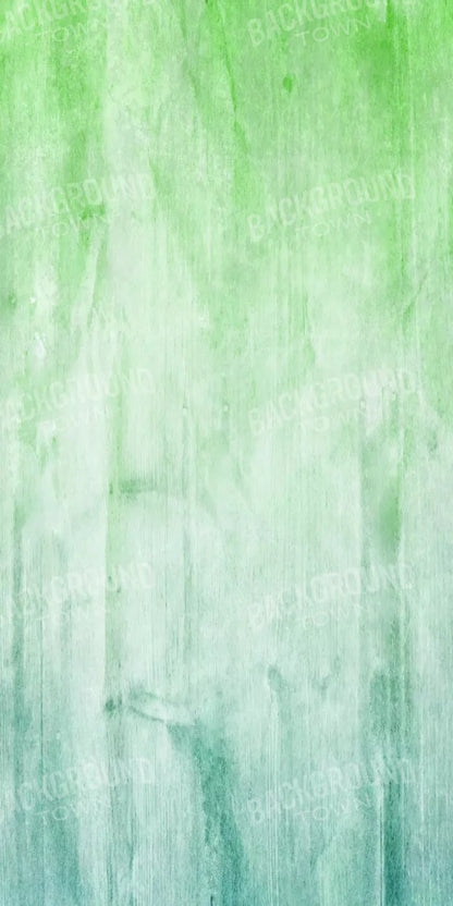 Robbie 10X20 Ultracloth ( 120 X 240 Inch ) Backdrop