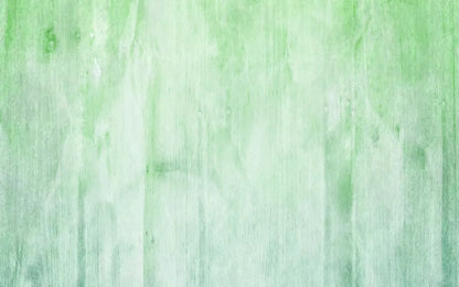 Robbie 14X9 Ultracloth ( 168 X 108 Inch ) Backdrop