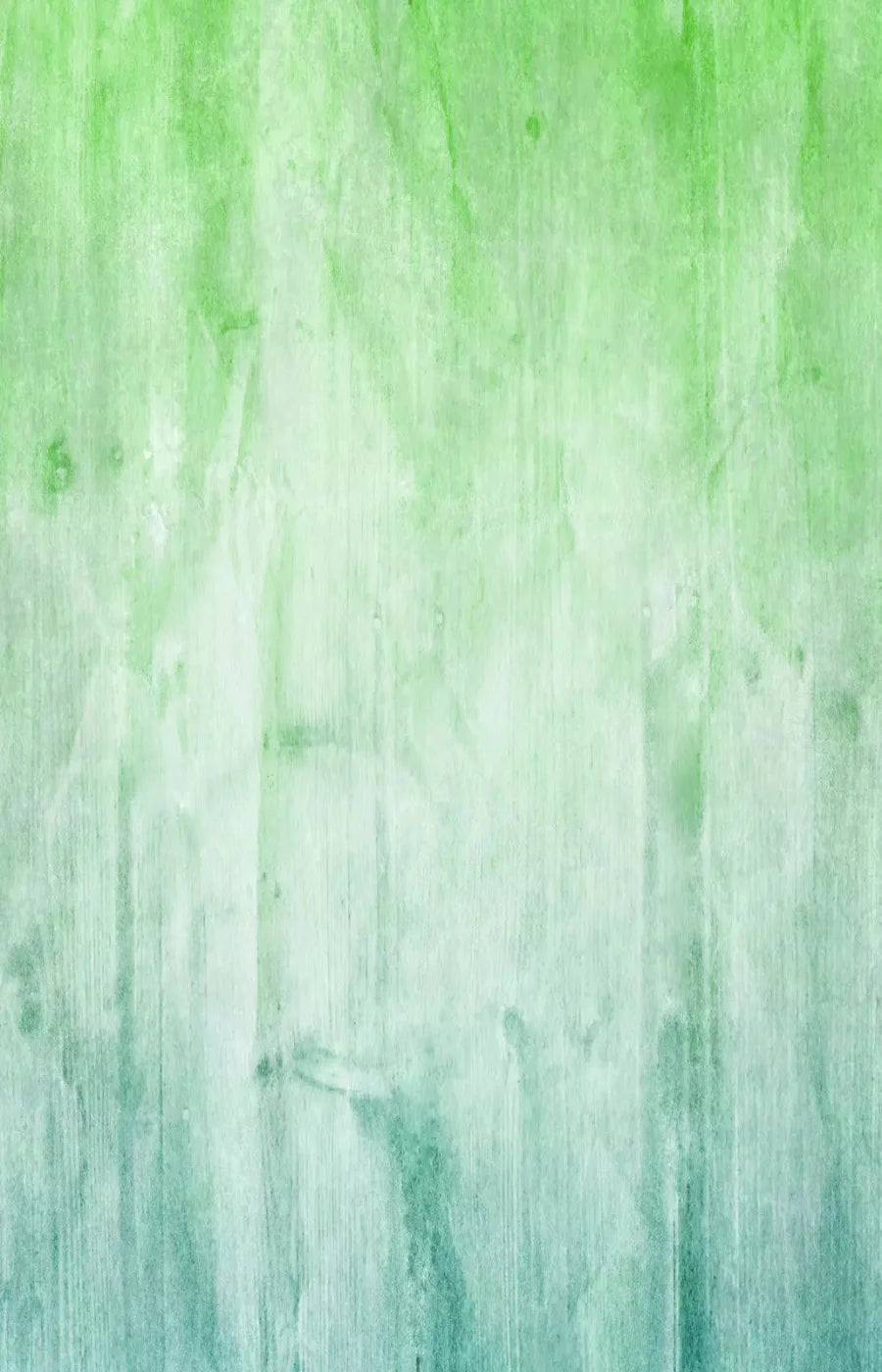 Robbie 8X12 Ultracloth ( 96 X 144 Inch ) Backdrop