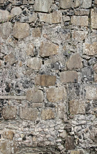 Rock Wall 10X16 Ultracloth ( 120 X 192 Inch ) Backdrop
