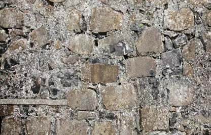 Rock Wall 12X8 Ultracloth ( 144 X 96 Inch ) Backdrop