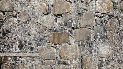 Rock Wall 14X8 Ultracloth ( 168 X 96 Inch ) Backdrop