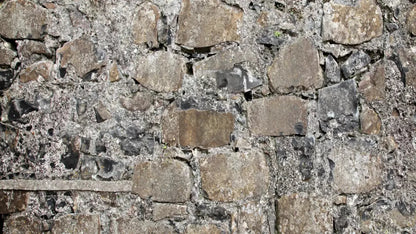 Rock Wall 14X8 Ultracloth ( 168 X 96 Inch ) Backdrop