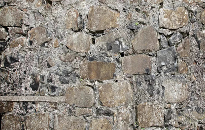 Rock Wall 16X10 Ultracloth ( 192 X 120 Inch ) Backdrop
