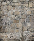 Beige Brick and Stone Backdrop for Photography