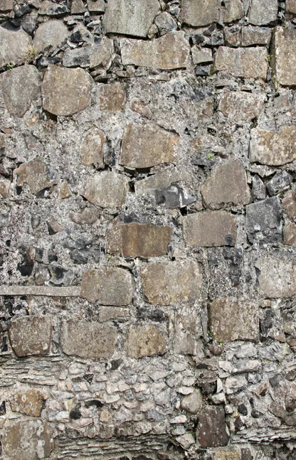Rock Wall 8X12 Ultracloth ( 96 X 144 Inch ) Backdrop