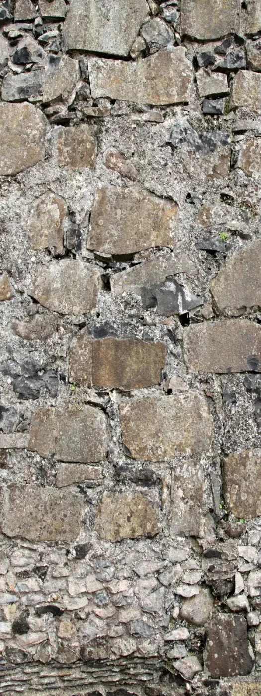 Rock Wall 8X20 Ultracloth ( 96 X 240 Inch ) Backdrop
