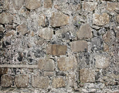 Rock Wall 8X6 Fleece ( 96 X 72 Inch ) Backdrop