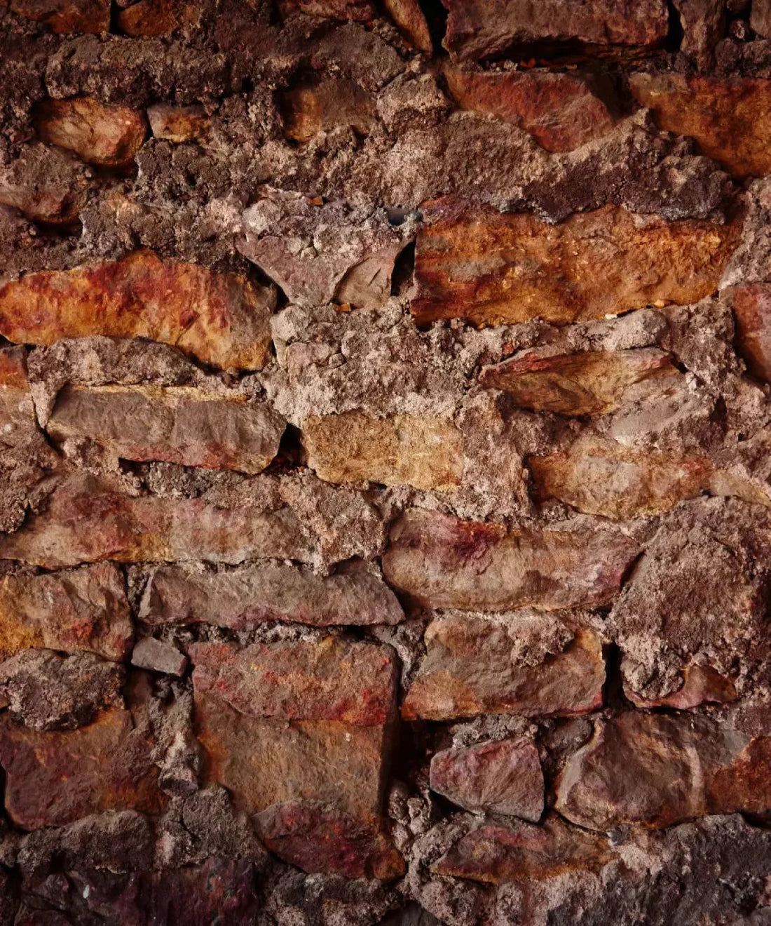   Backdrop for Photography
