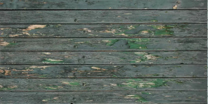 Roger 20X10 Ultracloth ( 240 X 120 Inch ) Backdrop
