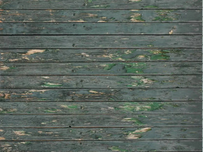 Roger 68X5 Fleece ( 80 X 60 Inch ) Backdrop