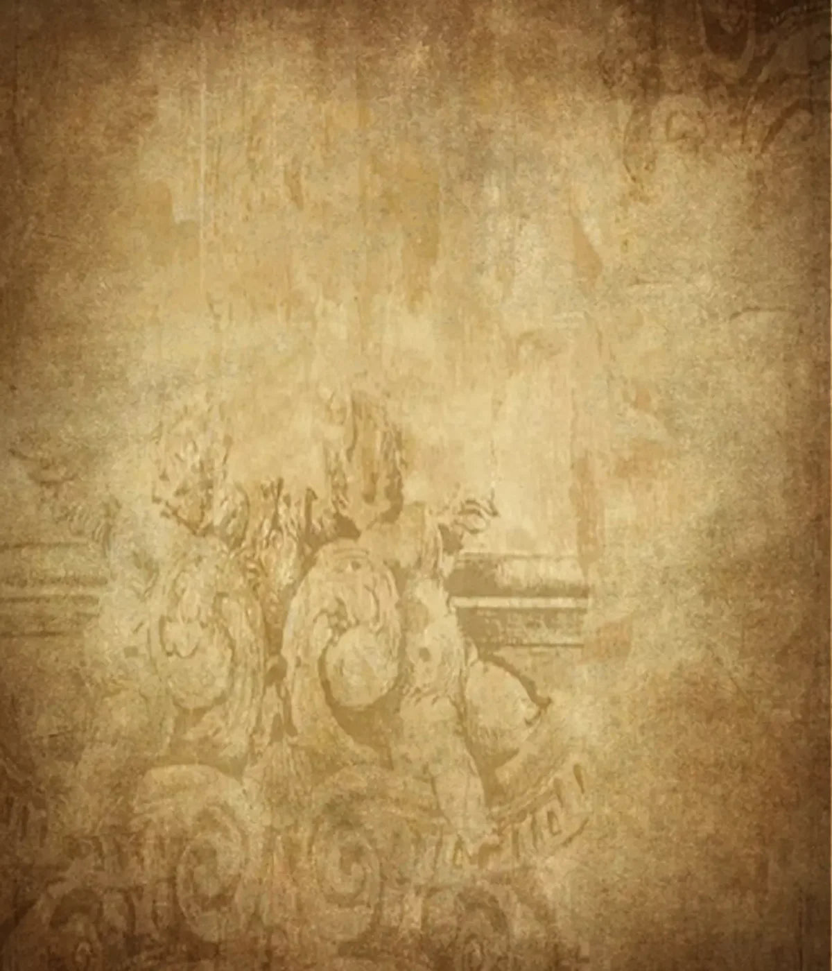 Roma 10X12 Ultracloth ( 120 X 144 Inch ) Backdrop