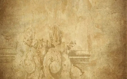 Roma 14X9 Ultracloth ( 168 X 108 Inch ) Backdrop