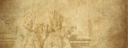 Roma 20X8 Ultracloth ( 240 X 96 Inch ) Backdrop