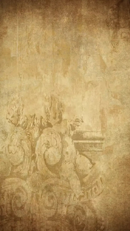 Roma 8X14 Ultracloth ( 96 X 168 Inch ) Backdrop