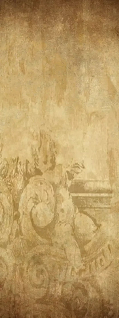Roma 8X20 Ultracloth ( 96 X 240 Inch ) Backdrop