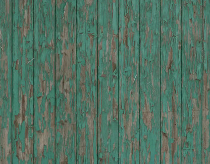 Ronny 8X6 Fleece ( 96 X 72 Inch ) Backdrop
