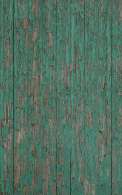 Ronny 9X14 Ultracloth ( 108 X 168 Inch ) Backdrop