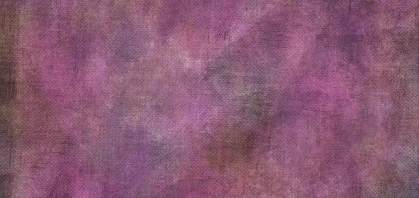 Rosa 16X8 Ultracloth ( 192 X 96 Inch ) Backdrop