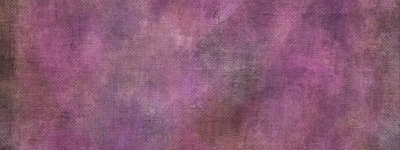 Rosa 20X8 Ultracloth ( 240 X 96 Inch ) Backdrop