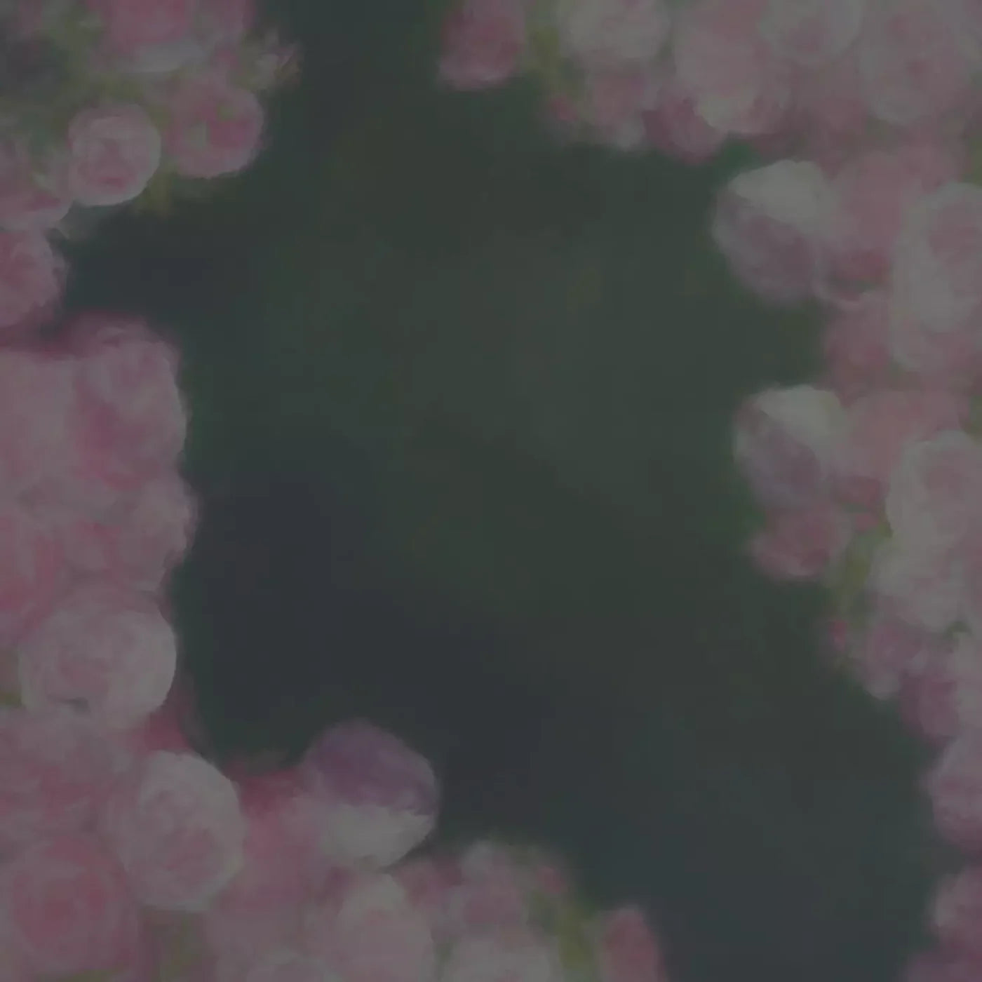 Rose Play 10X10 Ultracloth ( 120 X Inch ) Backdrop