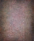 Pink Damask Backdrop for Photography