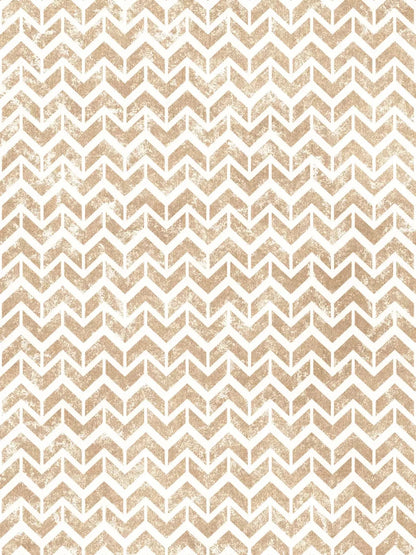 Ross Chevron 5X68 Fleece ( 60 X 80 Inch ) Backdrop