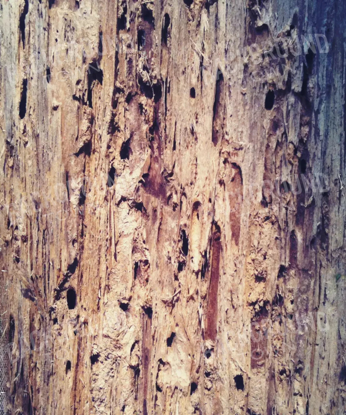 Beige Wood Backdrop for Photography