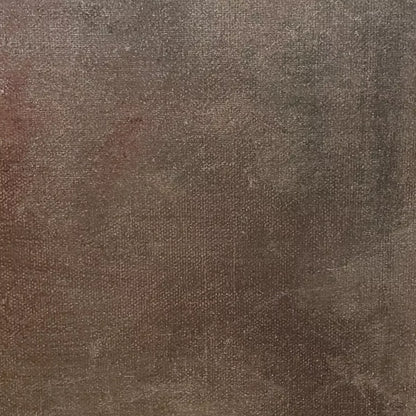 Rough Texture 10X10 Ultracloth ( 120 X Inch ) Backdrop