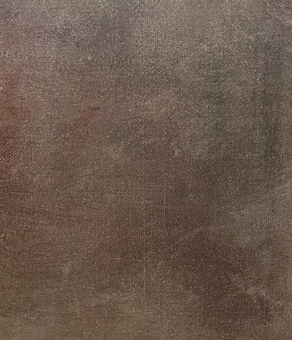 Rough Texture 10X12 Ultracloth ( 120 X 144 Inch ) Backdrop