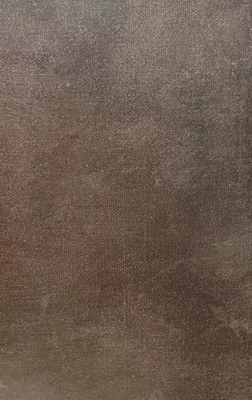 Rough Texture 10X16 Ultracloth ( 120 X 192 Inch ) Backdrop