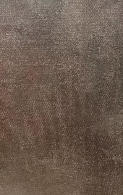 Rough Texture 10X16 Ultracloth ( 120 X 192 Inch ) Backdrop