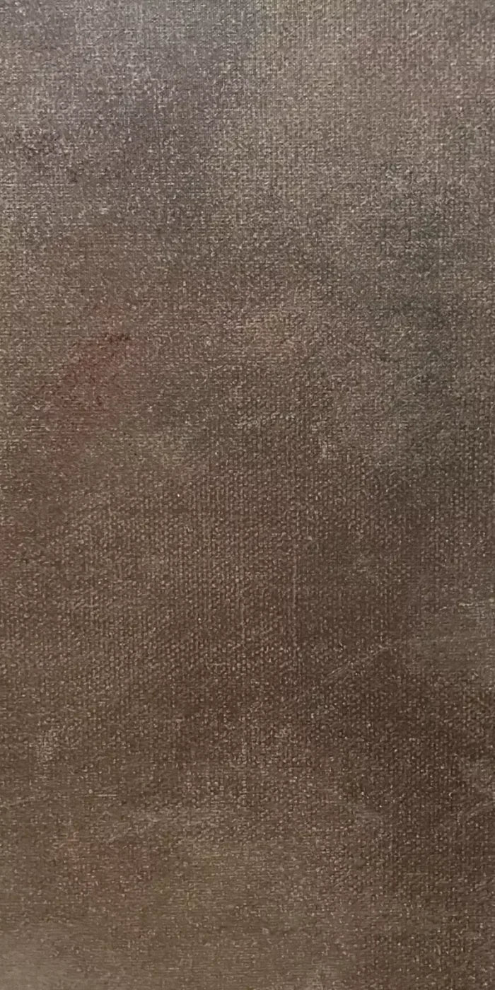 Rough Texture 10X20 Ultracloth ( 120 X 240 Inch ) Backdrop