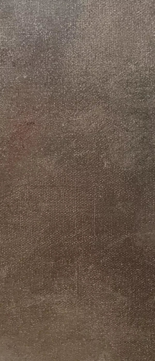 Rough Texture 5X12 Ultracloth For Westcott X-Drop ( 60 X 144 Inch ) Backdrop