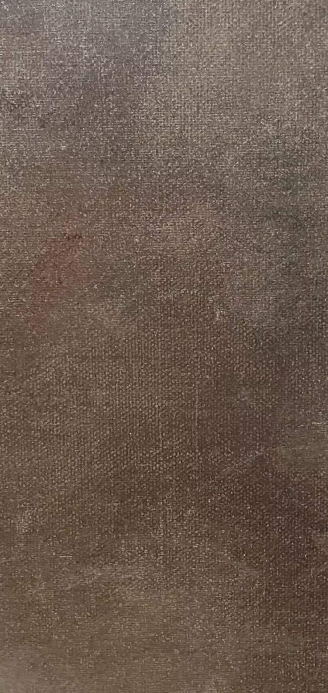 Rough Texture 8X16 Ultracloth ( 96 X 192 Inch ) Backdrop