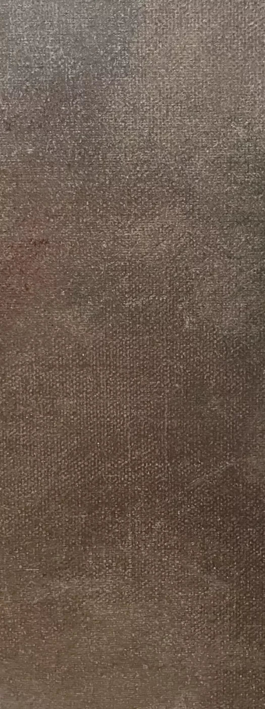 Rough Texture 8X20 Ultracloth ( 96 X 240 Inch ) Backdrop