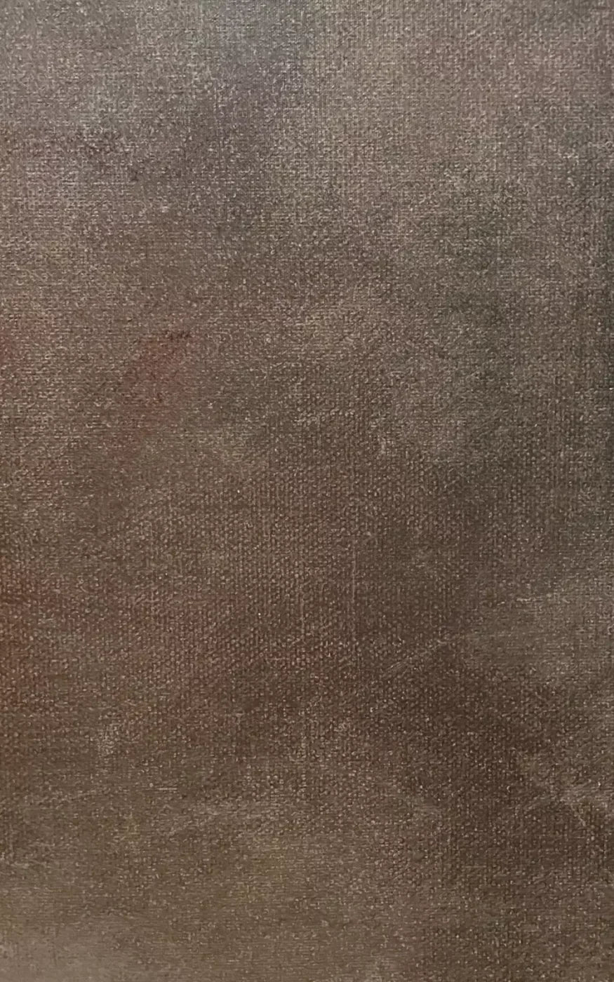Rough Texture 9X14 Ultracloth ( 108 X 168 Inch ) Backdrop